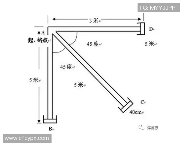 杭州足球队耐力表现数据分析揭示运动员体能训练效果与比赛策略的关系